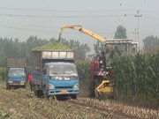 北京德乐4QZ-830自走式青贮饲料收获机