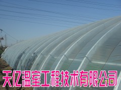 天亿多功能温室大棚骨架 钢架温室大棚骨架