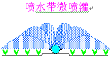 易润黑龙江玉米微喷带应用