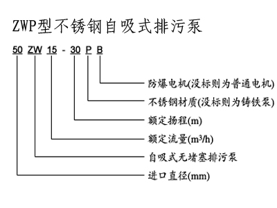 潜水排污泵,无堵塞排污泵,排污泵,自吸排污泵,排污泵图片，排污泵型号，排污泵工作原理，排污泵价格，管道排污泵 ，排污泵厂家 