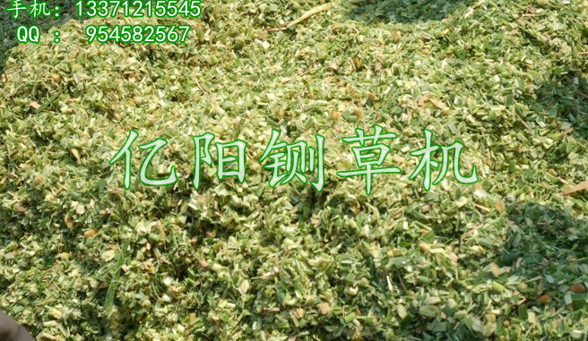 亿阳ZC-1山东小型家用铡草机多功能铡草机