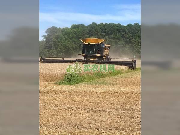 进口二手2014年克拉斯LEXION 760TT联合收割机