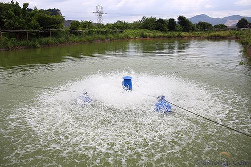 台州海凯双桥YL-1.5叶轮式增氧机