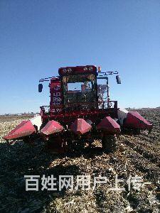 出售二手2012年中联4YZ-4（先锋4160F）自走式玉米收割机