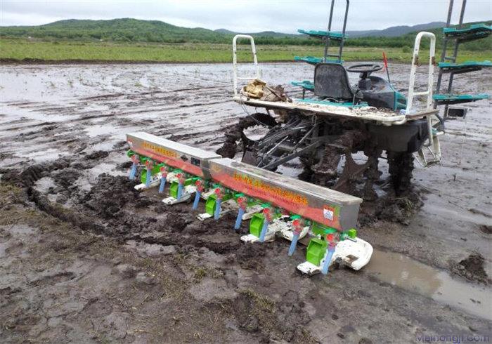 虎林琦丰2BD-10水稻直播机