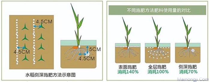 湖北永祥2FH-2.4A(F8)水稻侧深施肥机